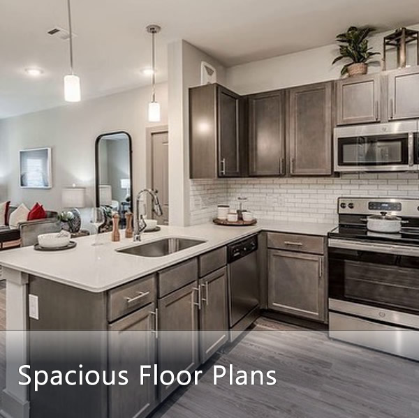 City Heights floor plans preview